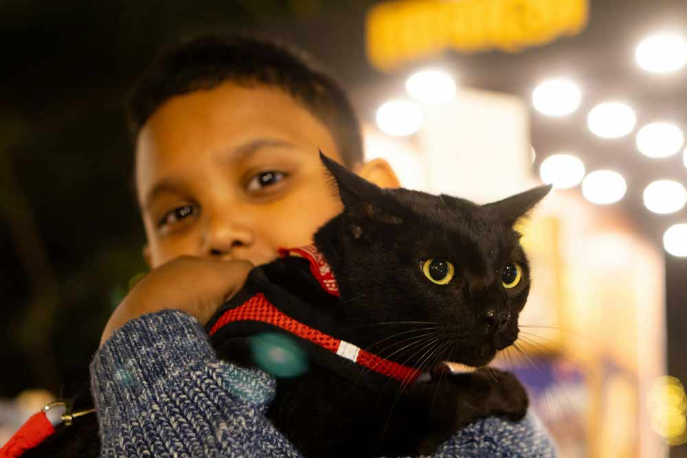 Keeping a clean home with kids and pets—child holding a black cat with bright eyes, surrounded by soft lighting, symbolizing a busy but loving household where maintaining cleanliness, organization, and a healthy environment requires practical routines and family-friendly cleaning strategies.