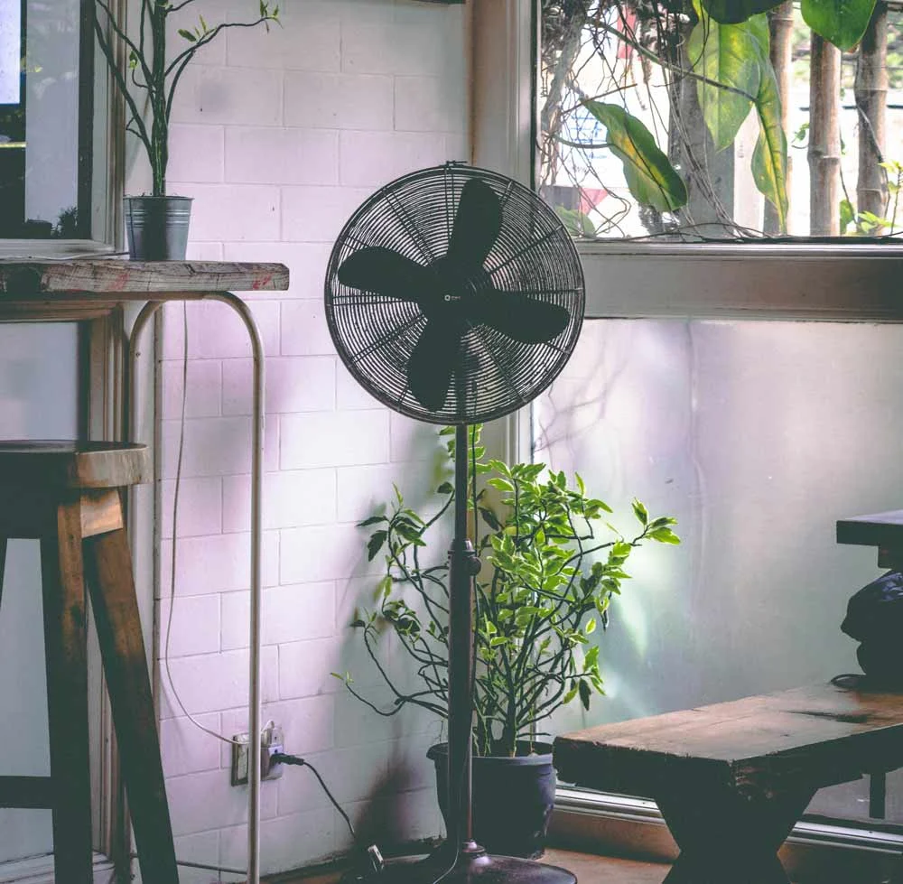 Home remodeling and flooring services—indoor space with fan and plants near a window, representing improved comfort, ventilation, and air quality as part of professional flooring installation, bathroom renovation, and full-service home remodeling projects.